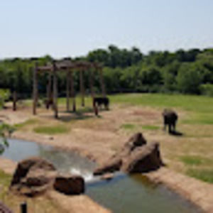 Meet your Posher, Alisha